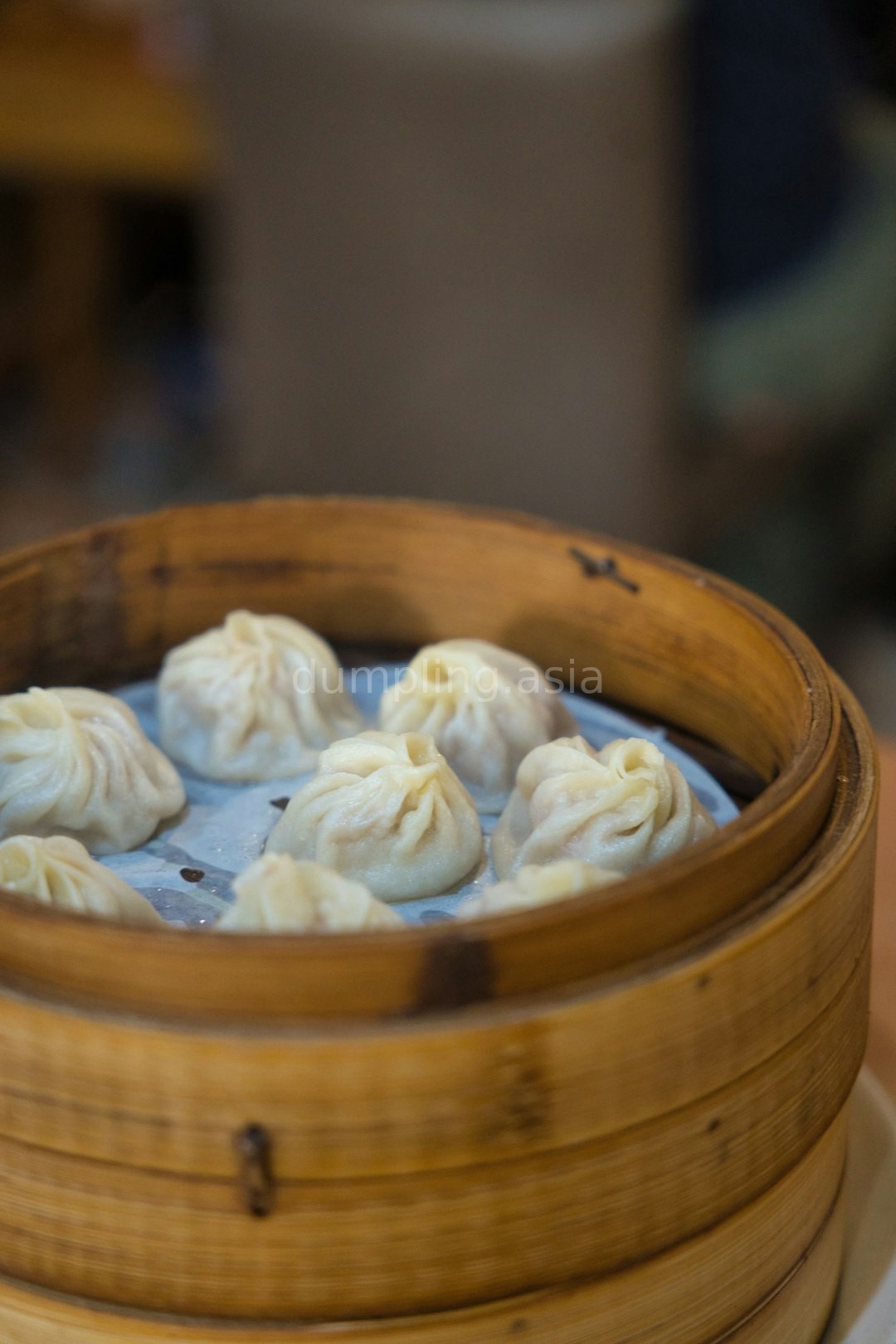 Chef folding dumplings
